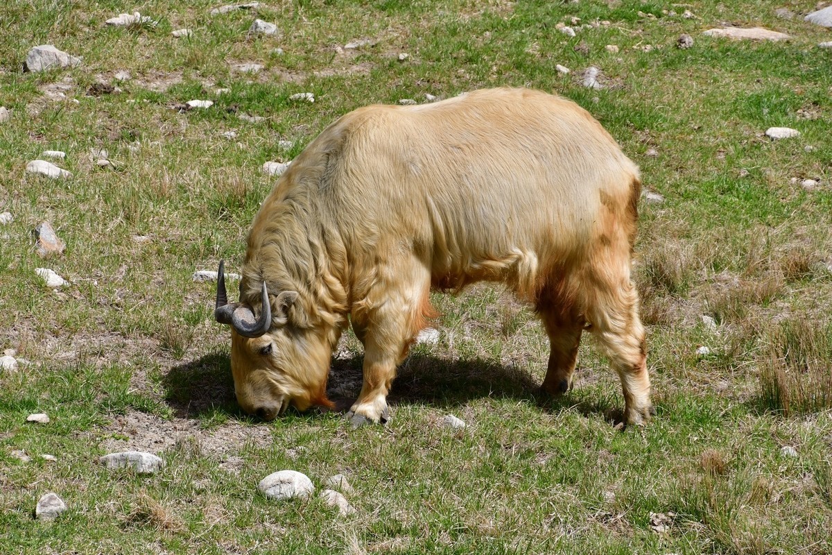 我只是把出去看到的随手记录下来（127）