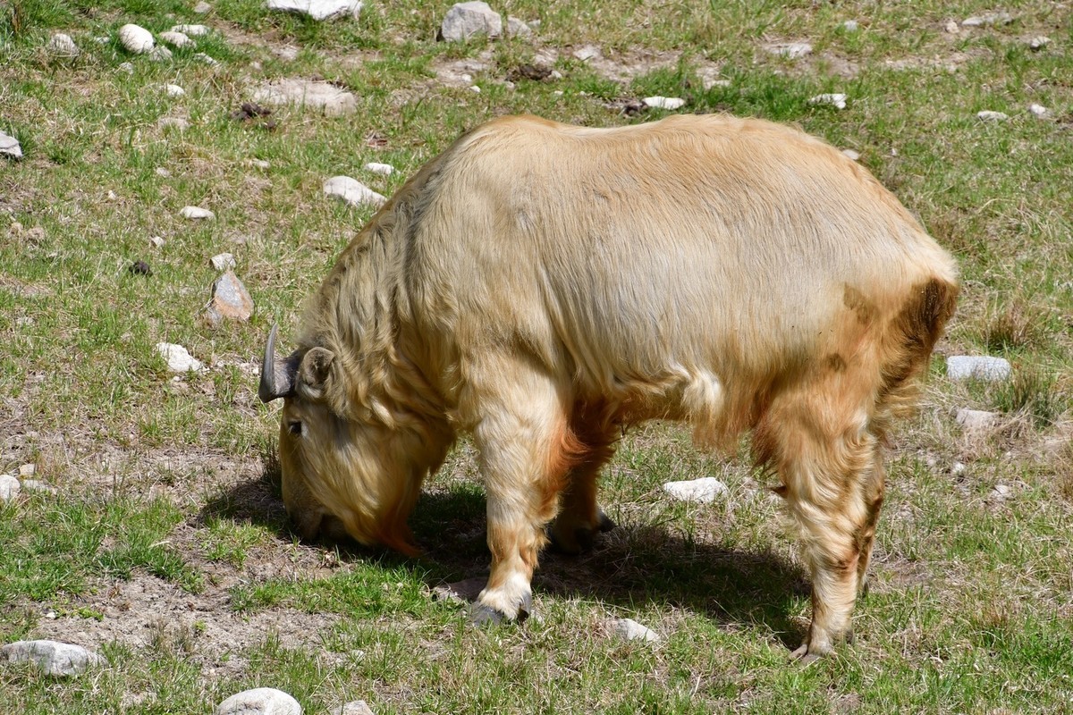 我只是把出去看到的随手记录下来（127）