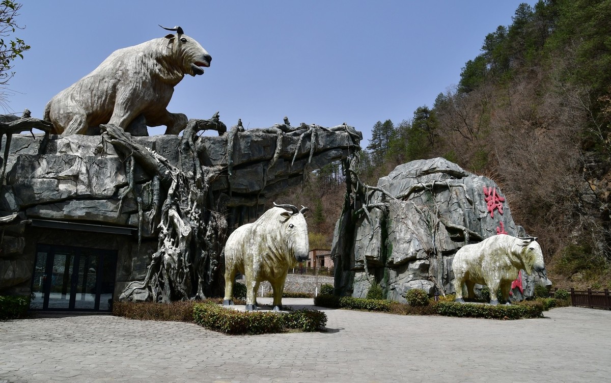 我只是把出去看到的随手记录下来（127）