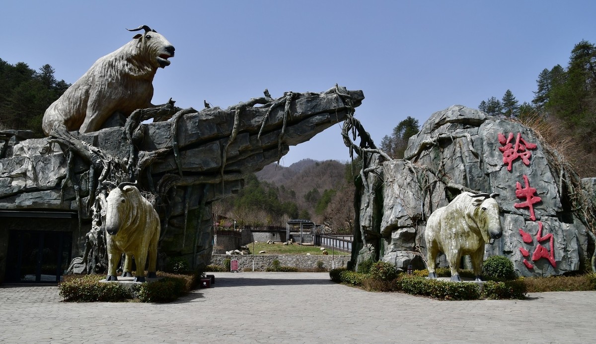 秦岭羚牛沟掠影