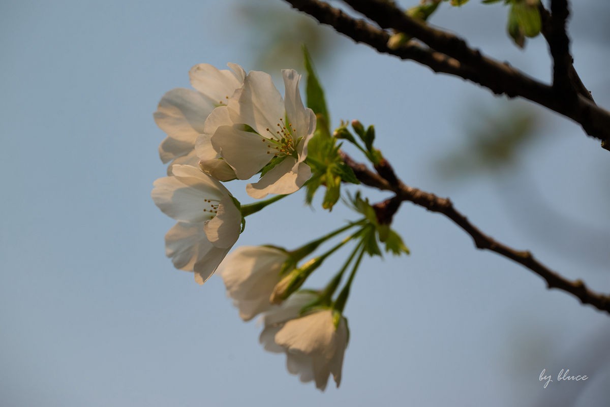 初春——东吴文化公园随拍（上）