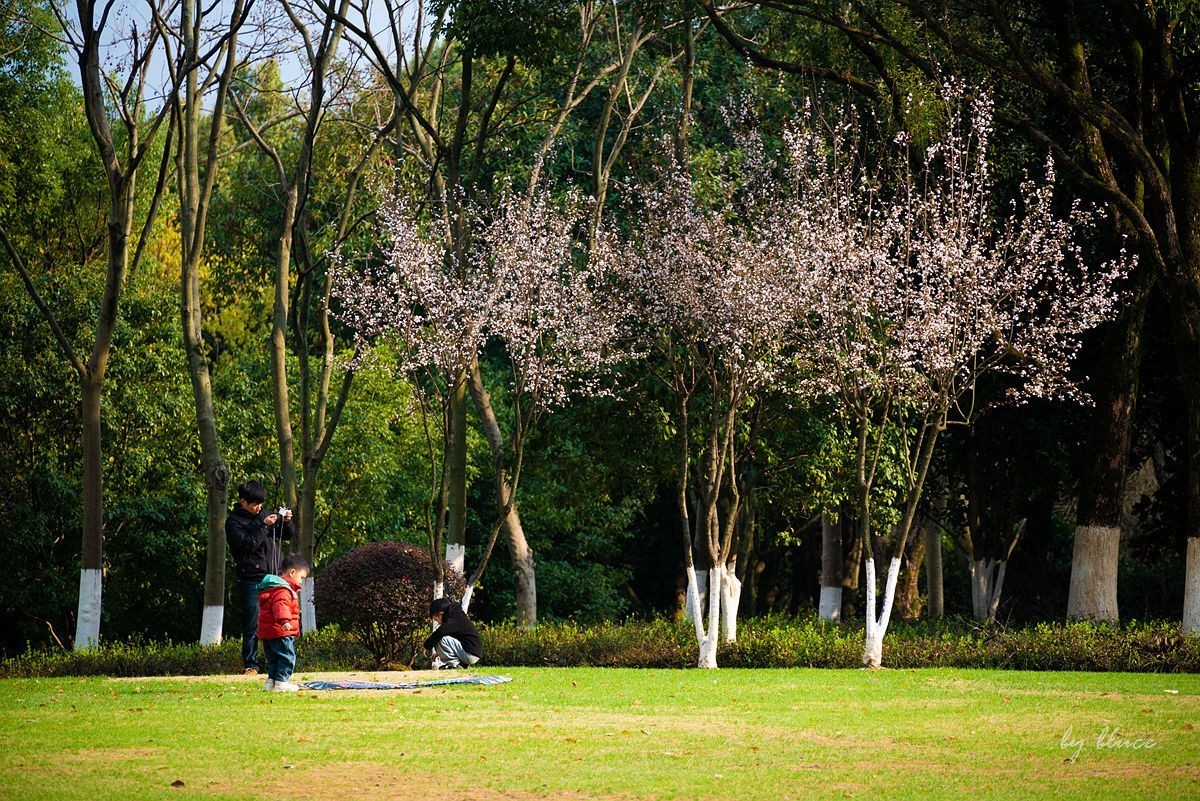 初春——东吴文化公园随拍（上）