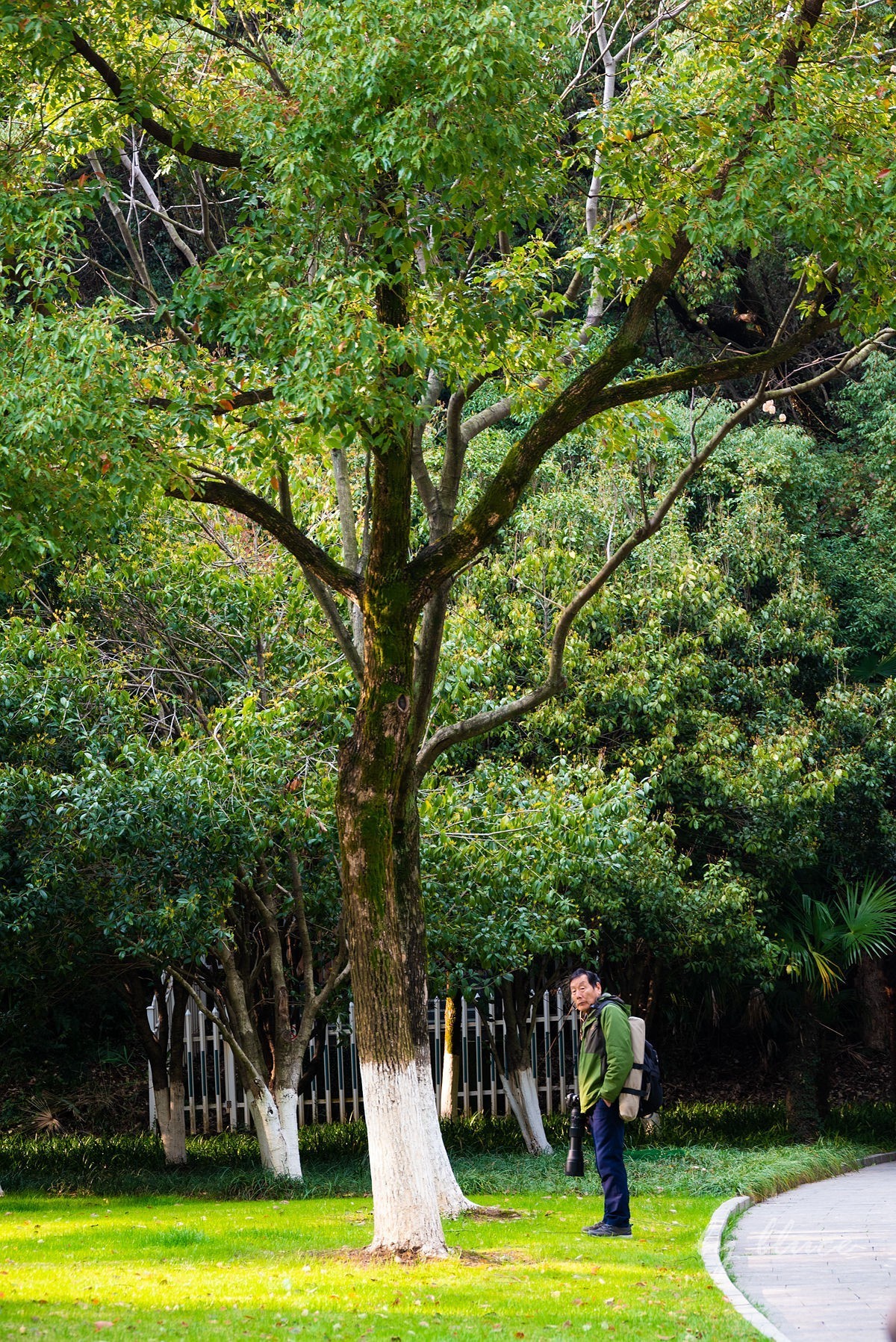 初春——东吴文化公园随拍（上）