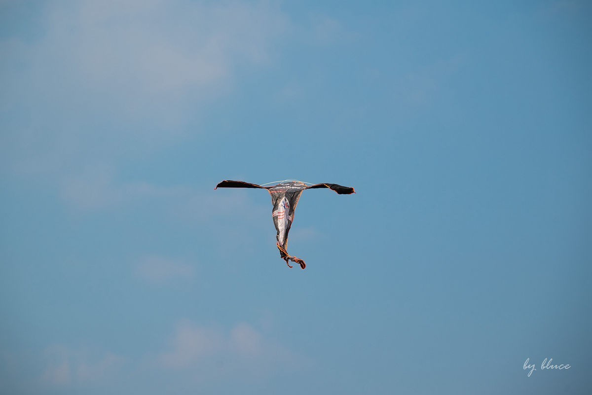 初春——东吴文化公园随拍（上）