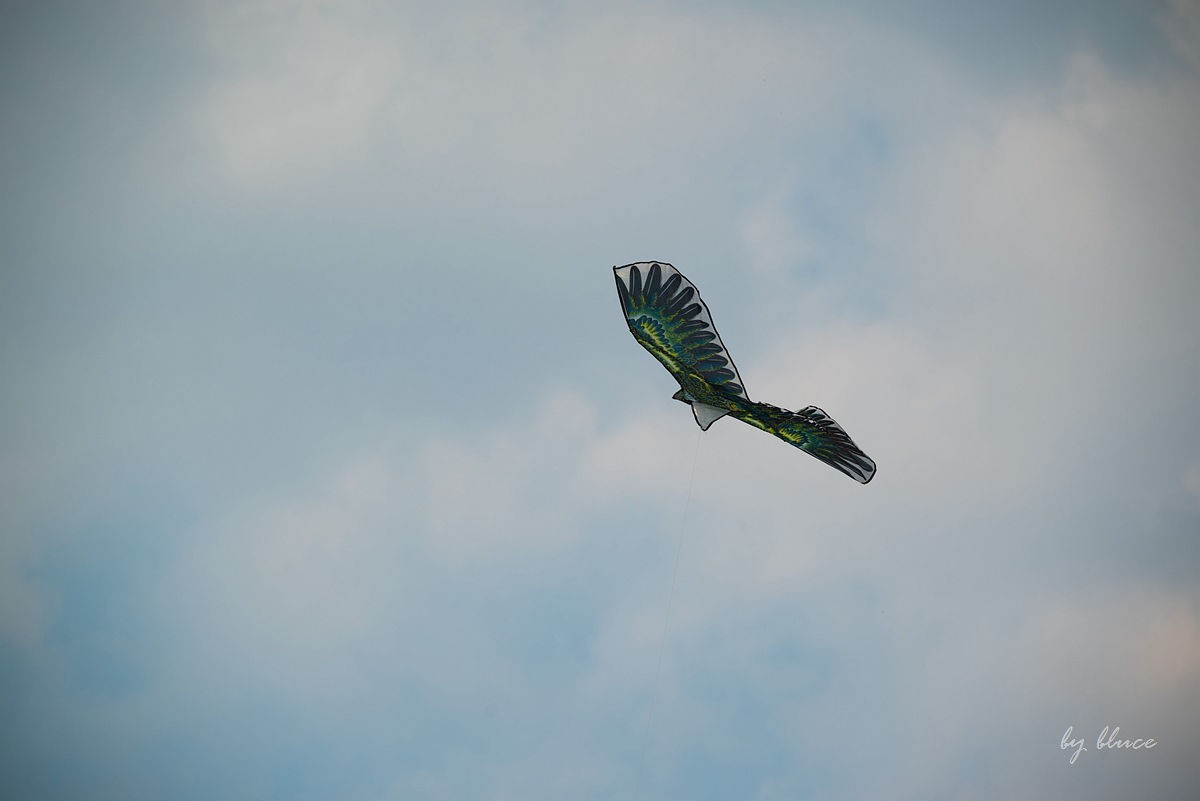 初春——东吴文化公园随拍（上）