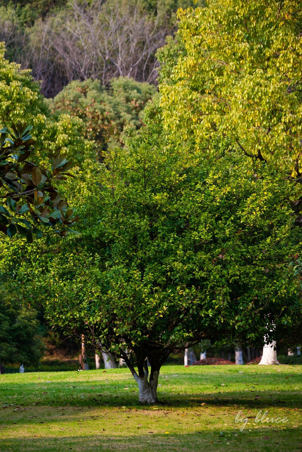 初春——东吴文化公园随拍（上）