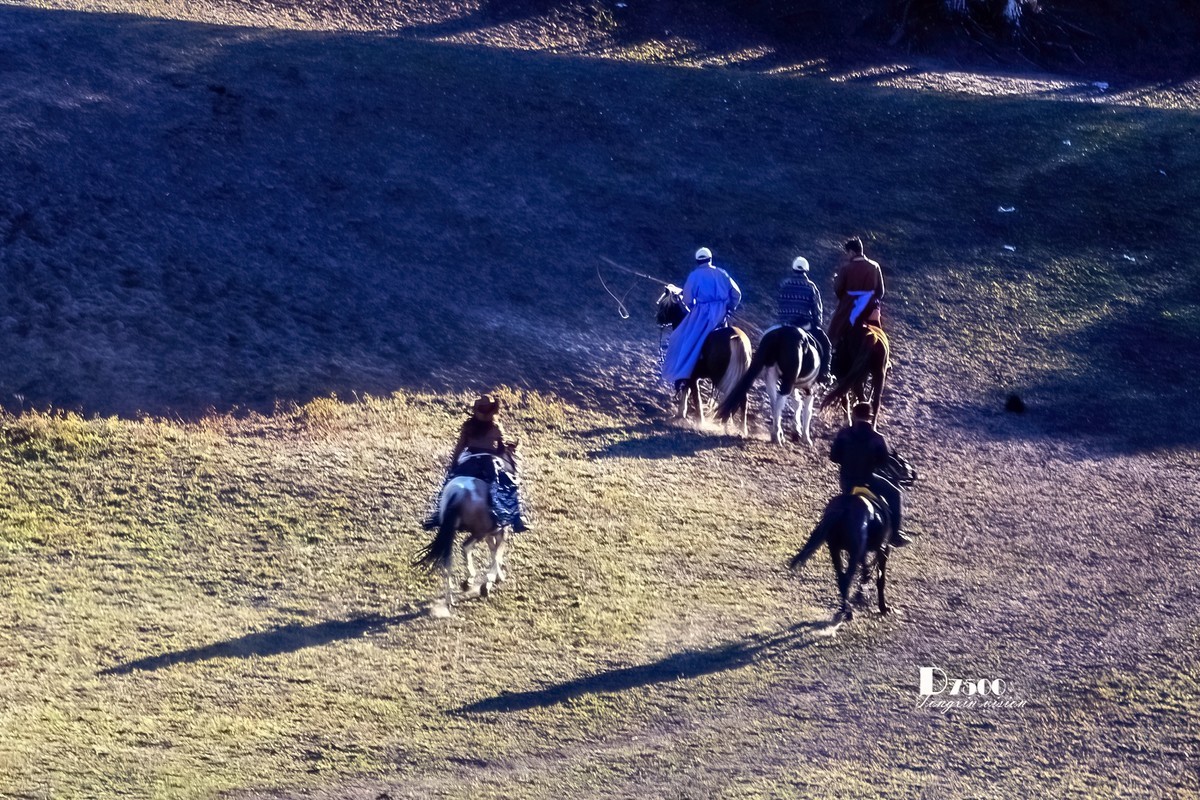 金秋乌兰布统——丘林中的牧马人（4）