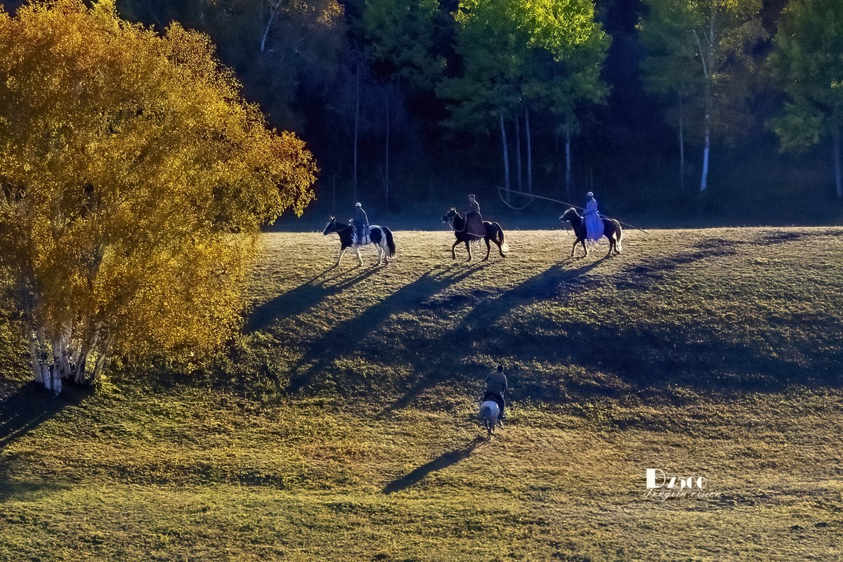 金秋乌兰布统——丘林中的牧马人（4）
