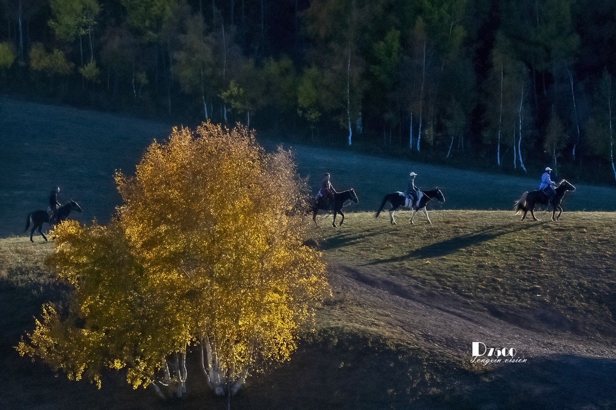 金秋乌兰布统——丘林中的牧马人（4）