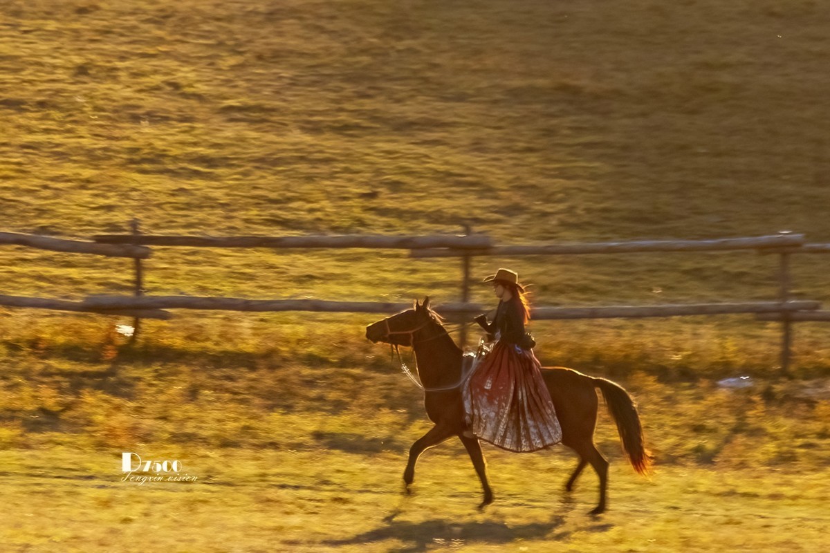 金秋乌兰布统——丘林中的牧马人（4）