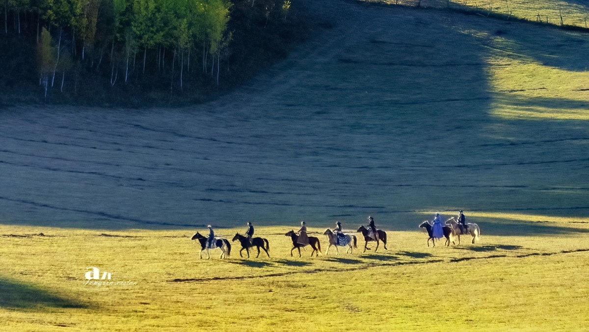 金秋乌兰布统——丘林中的牧马人（4）