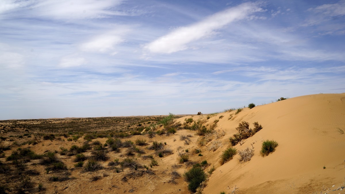 大西北的戈壁滩