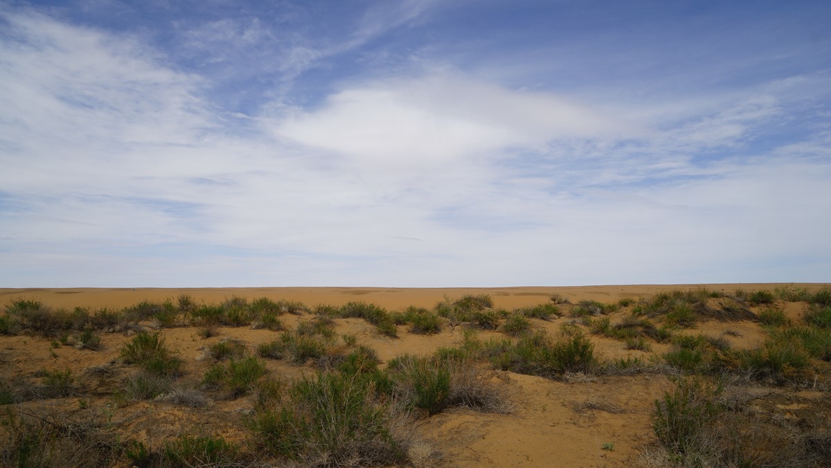 大西北的戈壁滩