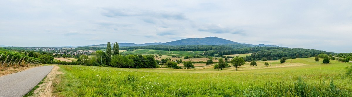 山野