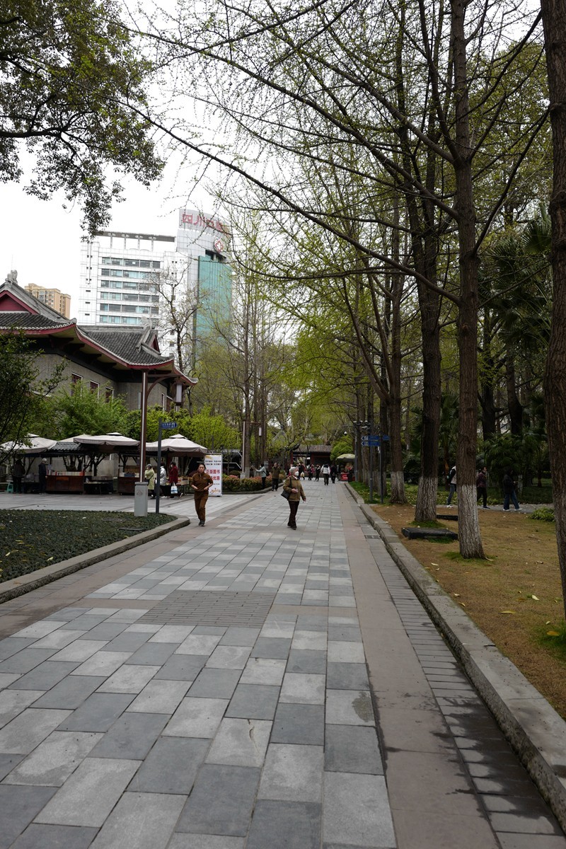 成都之行——人民公园（5）