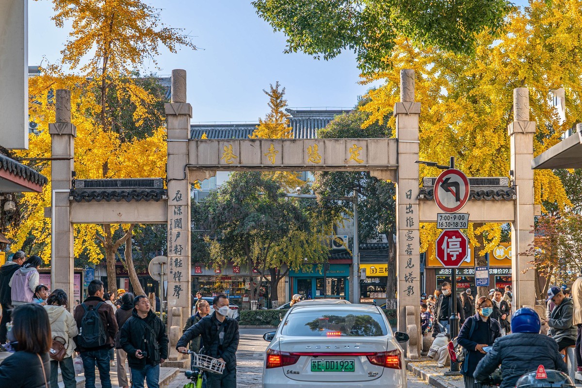 苏州定慧寺拍银杏叶
