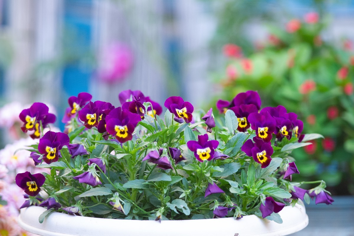 初试AFS 300mm 4D IF-ED