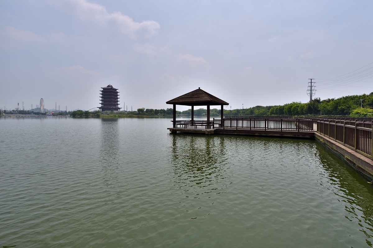 玉林公园湖岸随拍7