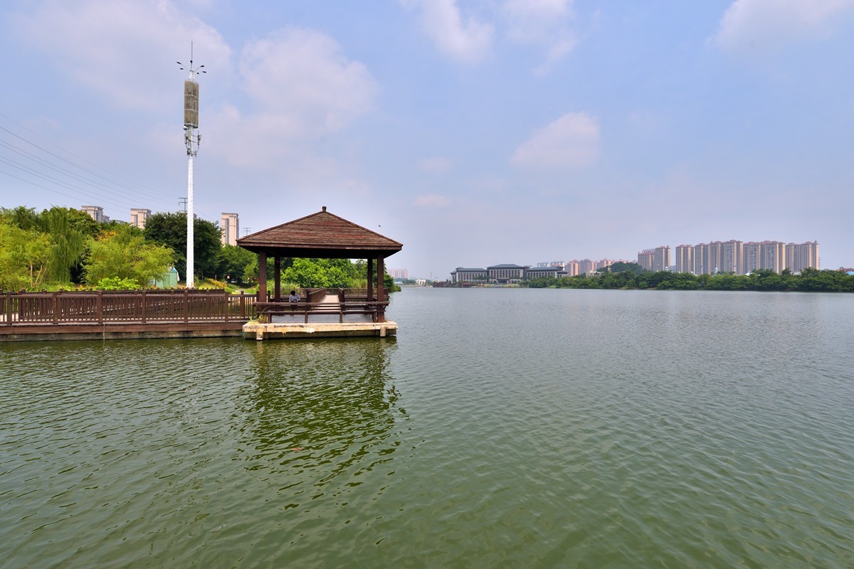玉林公园湖岸随拍7