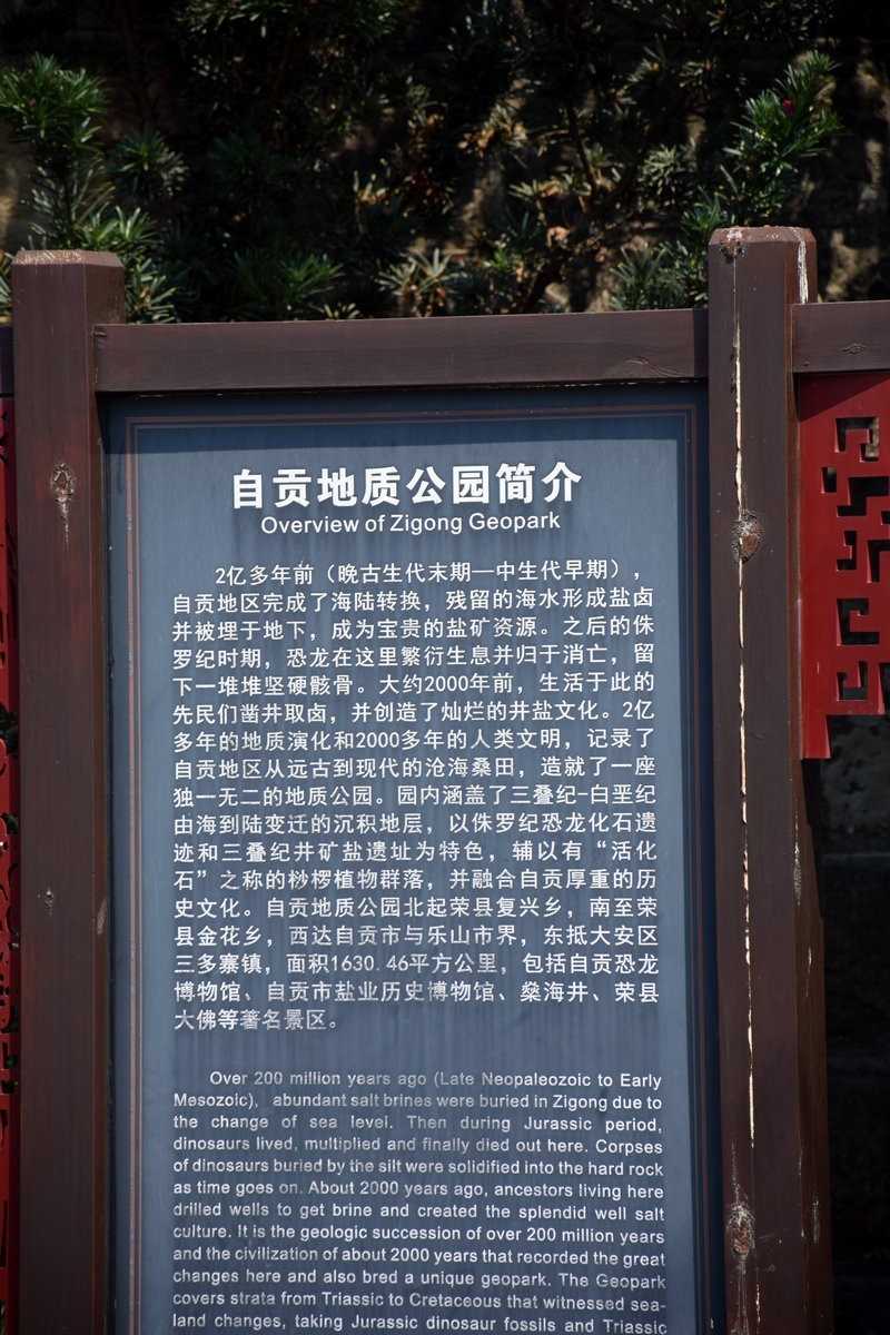 2023夏 黔赣鄂渝川（64）自贡