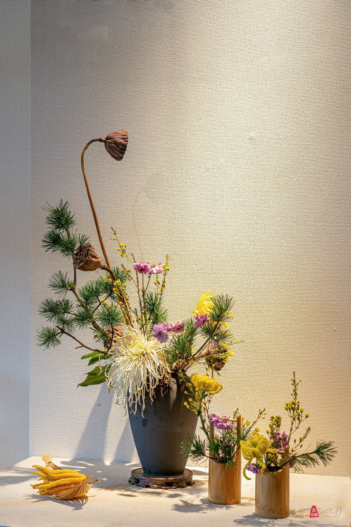 狮林菊展(二)插花-中关村在线摄影论坛