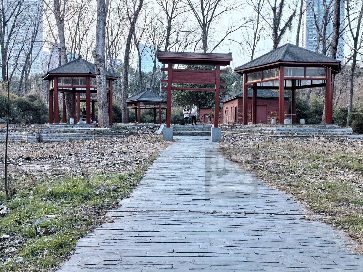 林中木屋*汉口江滩——武汉随笔