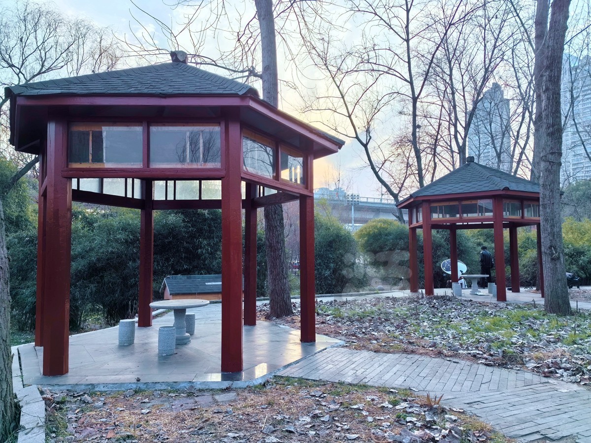 林中木屋*汉口江滩——武汉随笔