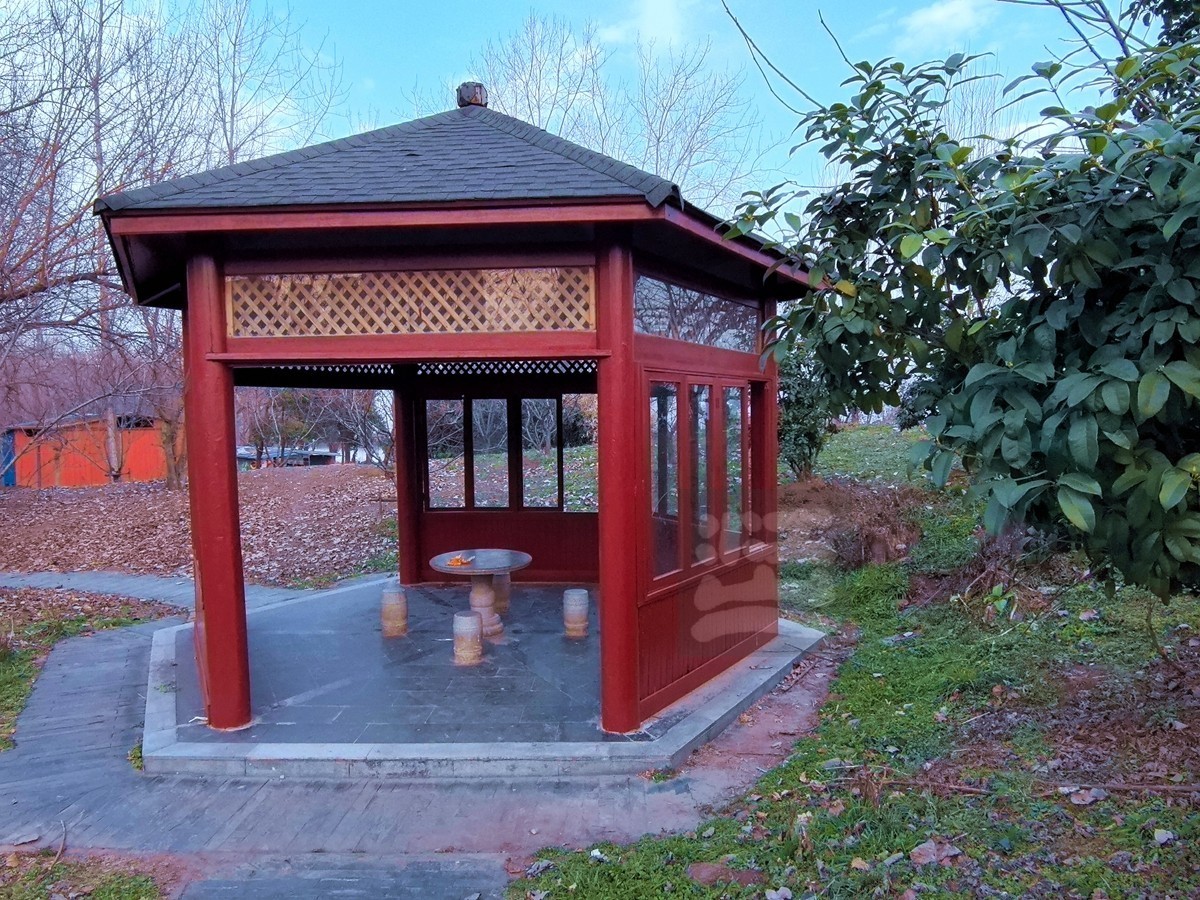 林中木屋*汉口江滩——武汉随笔