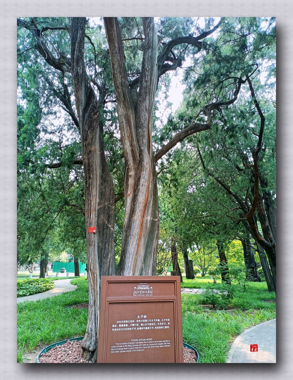 静谧怡然之所 劳动人民文化馆 （手机版）