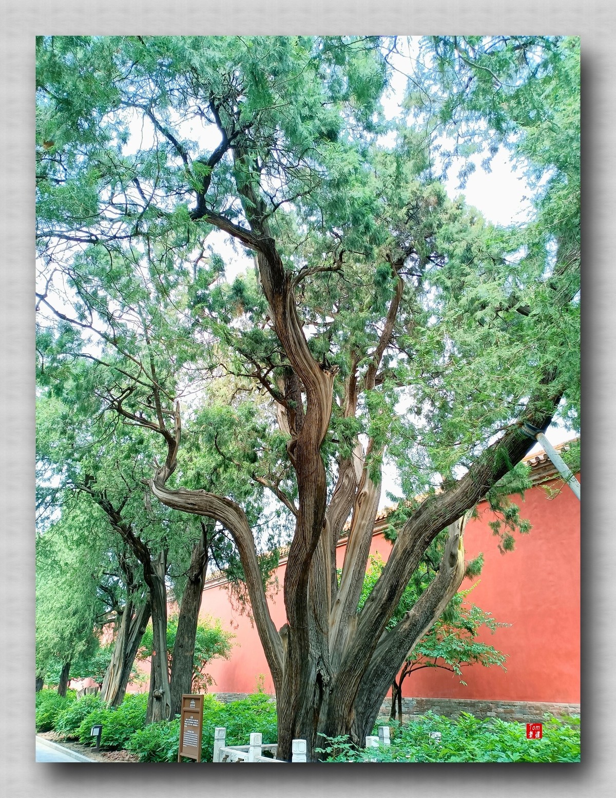 静谧怡然之所 劳动人民文化馆 （手机版）