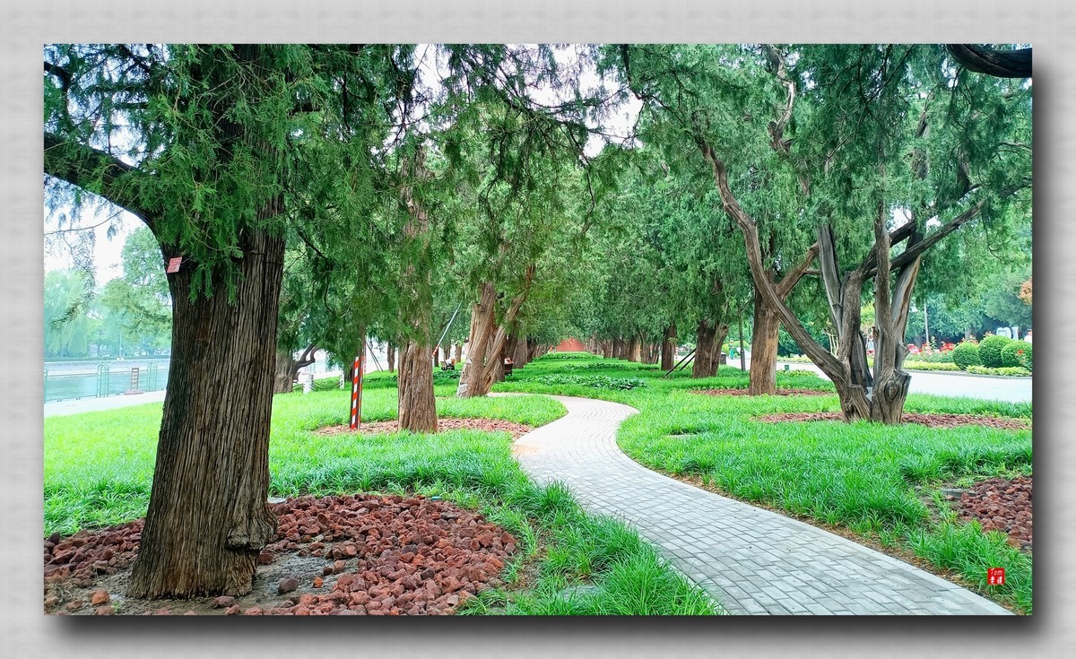 静谧怡然之所 劳动人民文化馆 （手机版）