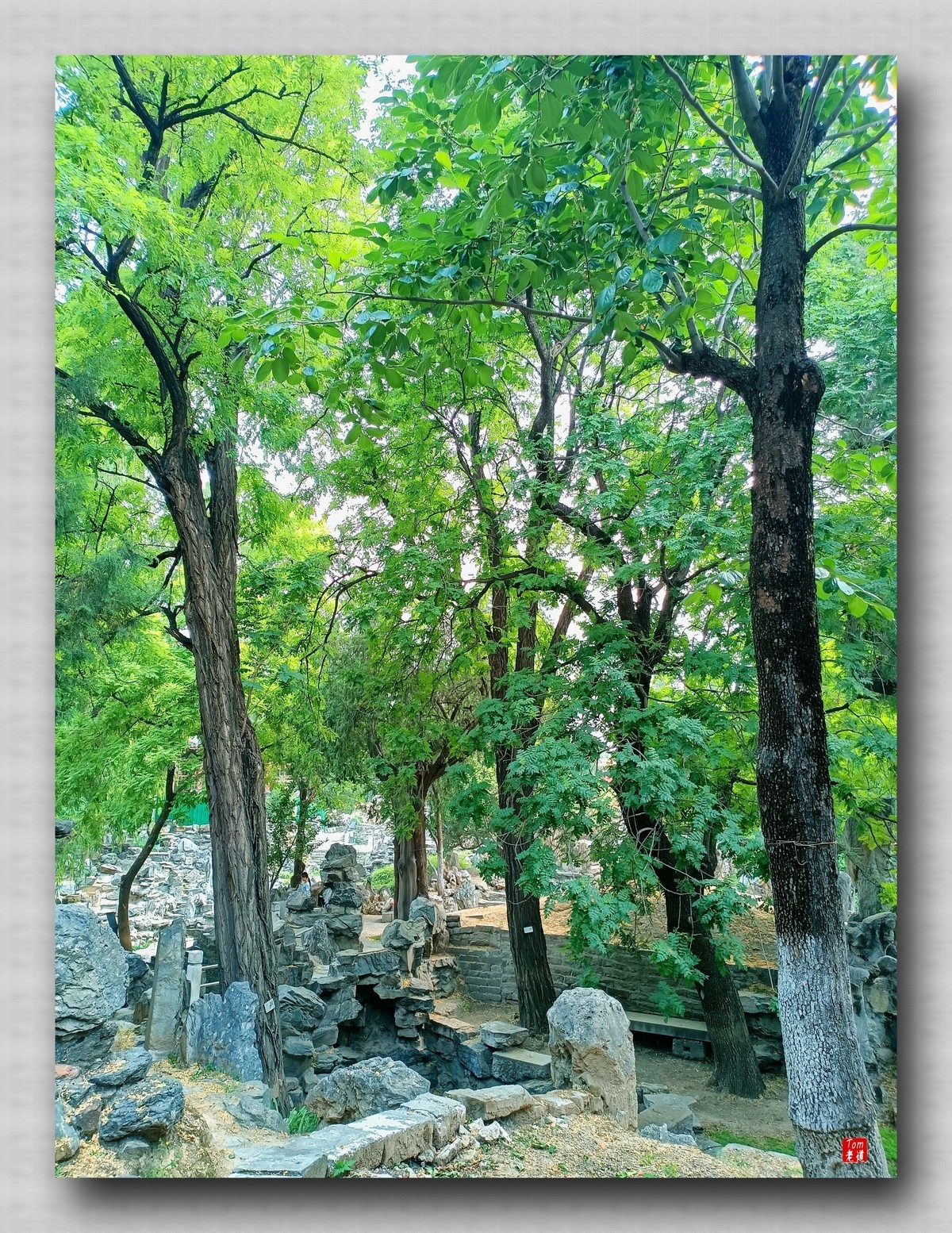 静谧怡然之所 劳动人民文化馆 （手机版）