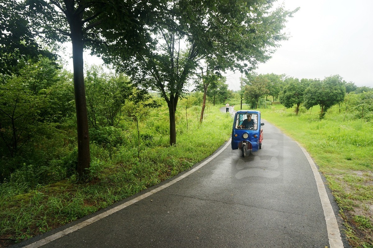 花朝河湾*新洲——武汉随笔