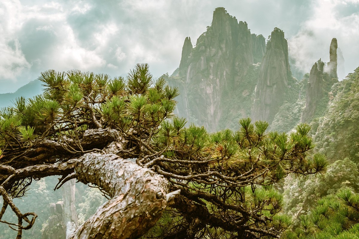 揽胜遍五岳，绝景在三清。