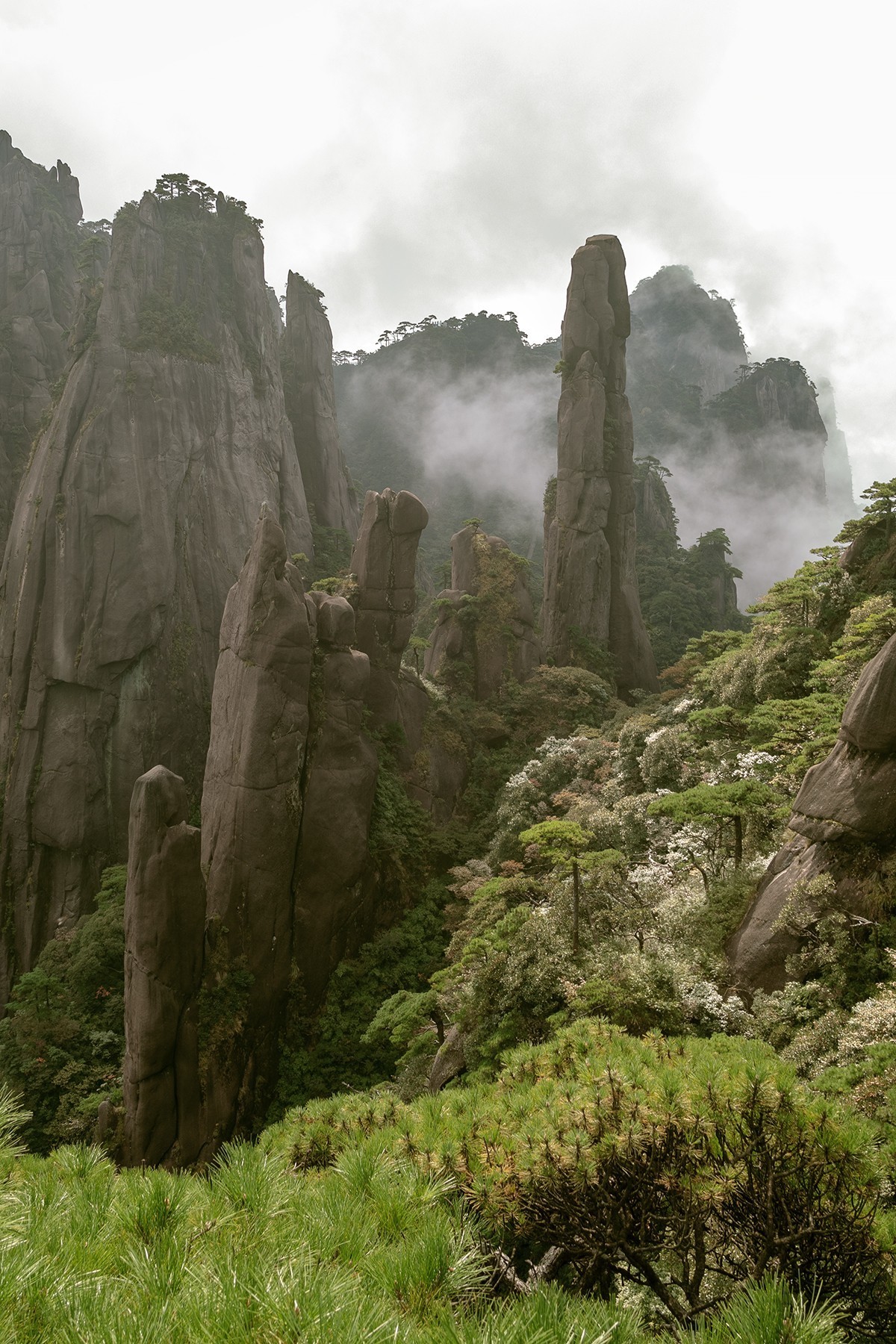 揽胜遍五岳，绝景在三清。