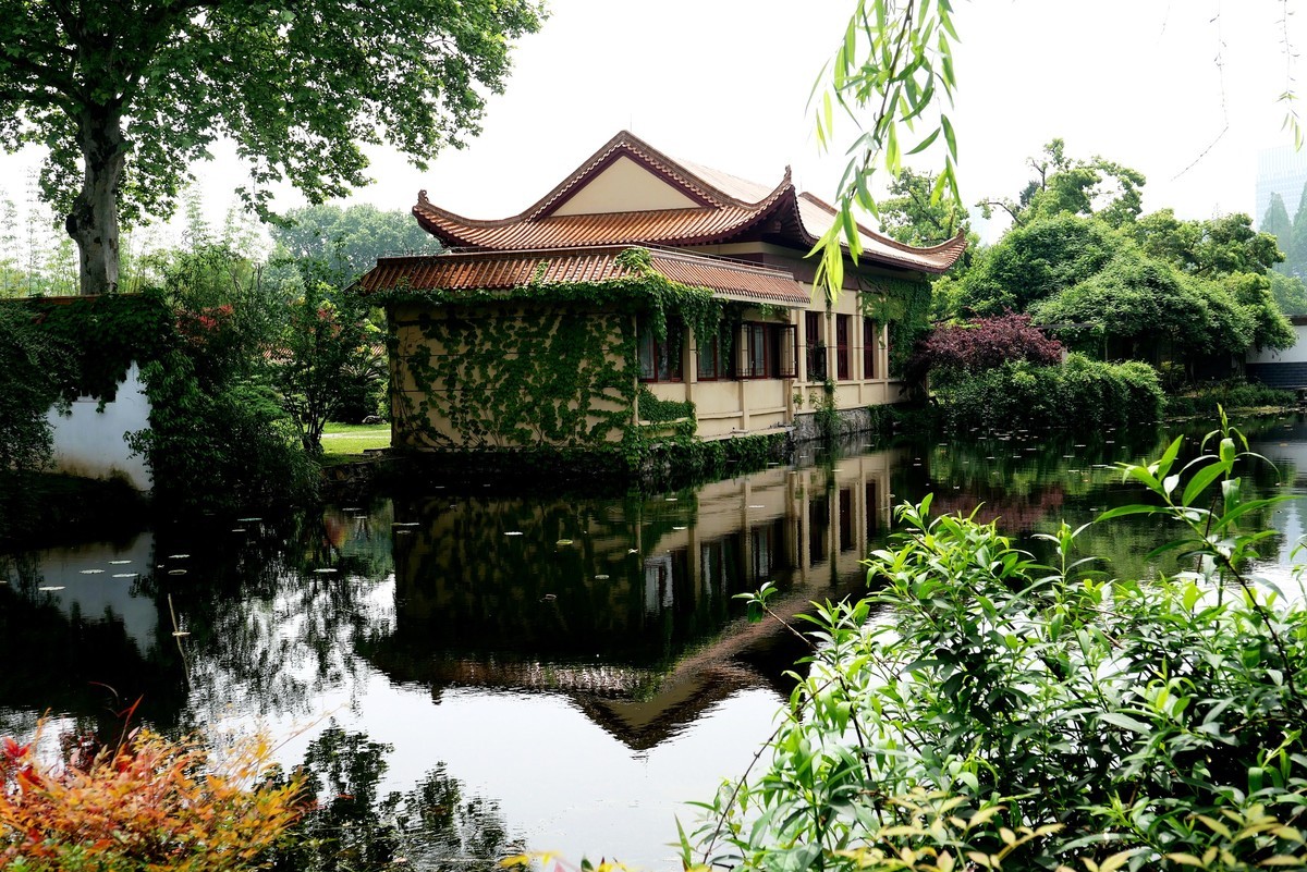 武汉映像---青山公园好风光！