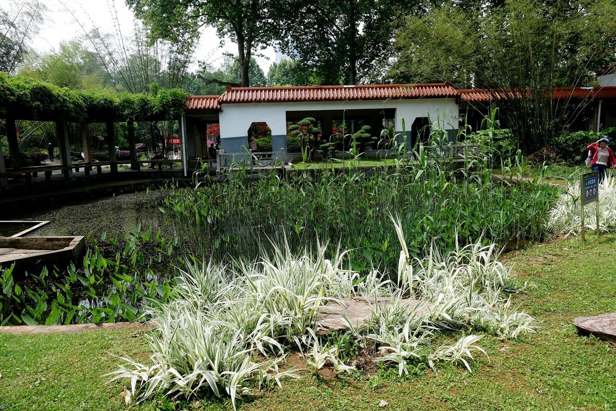 武汉映像---青山公园好风光！