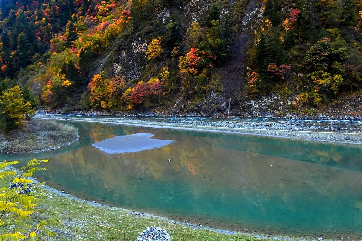 川西黑水 · 奶子沟彩林