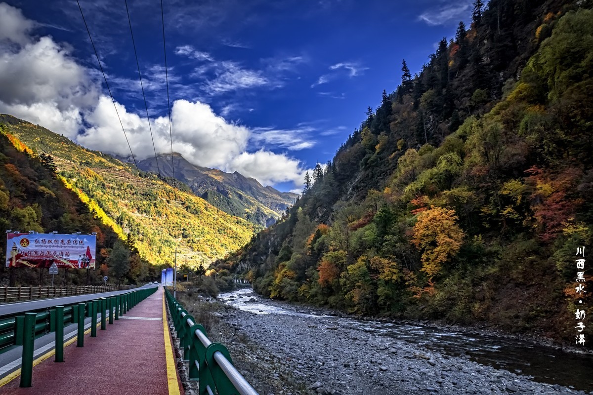 川西黑水 · 奶子沟彩林