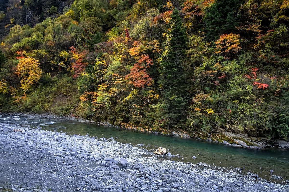 川西黑水 · 奶子沟彩林