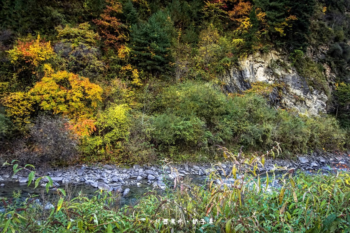 川西黑水 · 奶子沟彩林