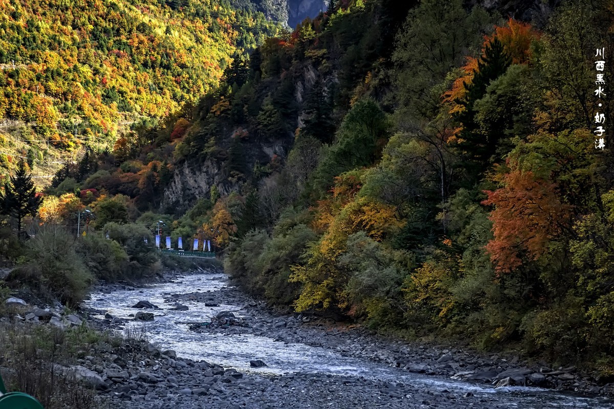 川西黑水 · 奶子沟彩林