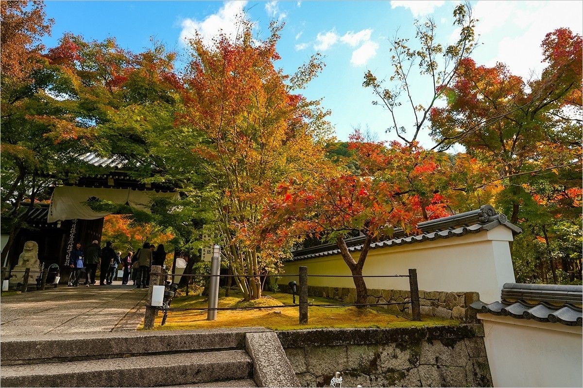 2024年第0898贴-永观堂风光游拍（1204）