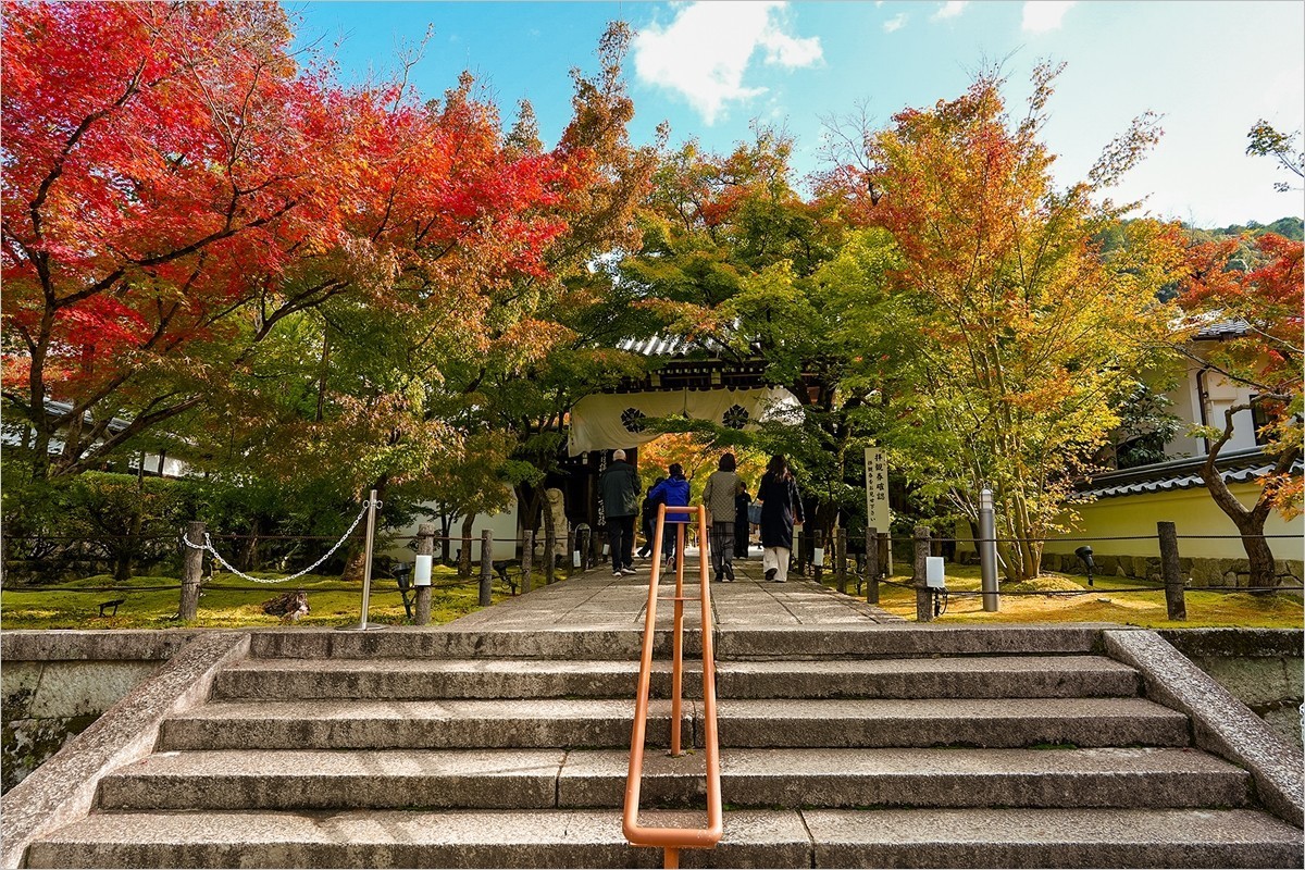 2024年第0898贴-永观堂风光游拍（1204）