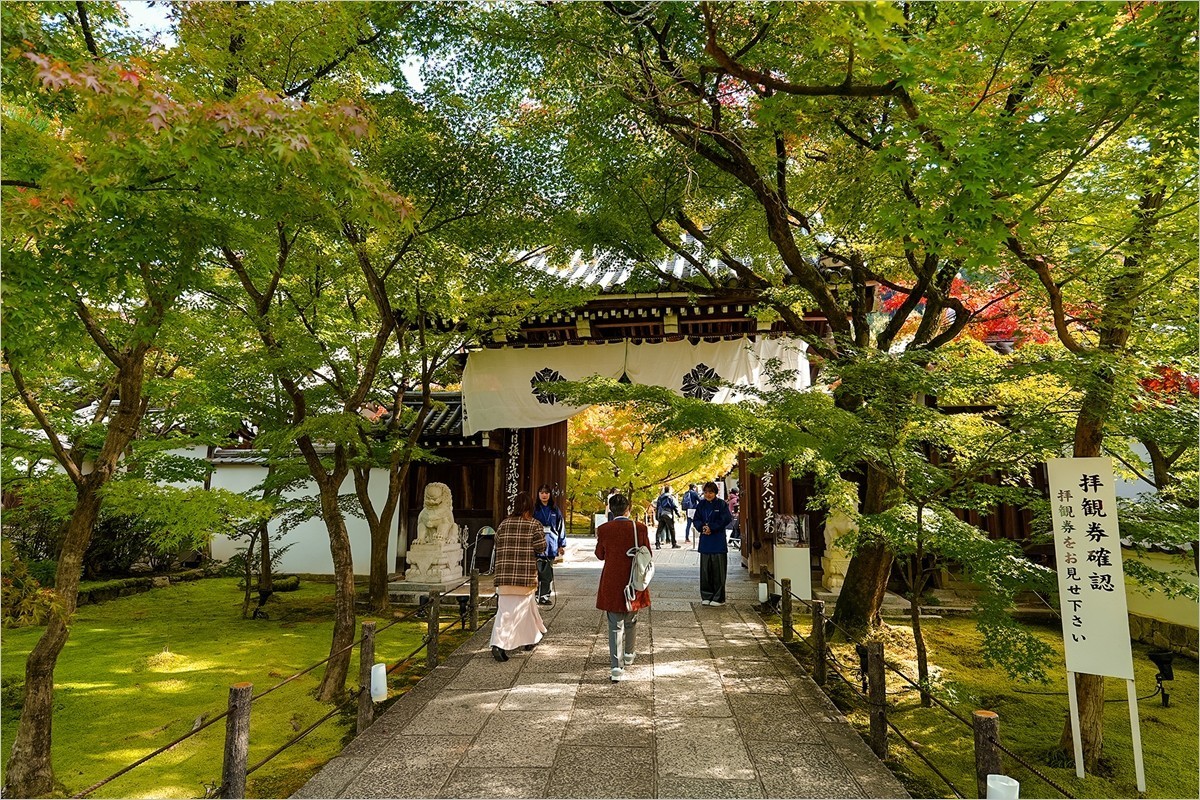 2024年第0898贴-永观堂风光游拍（1204）