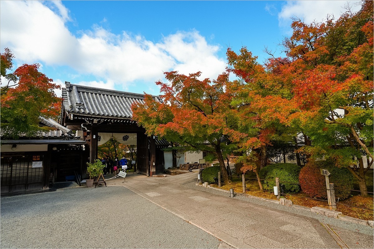 2024年第0898贴-永观堂风光游拍（1204）