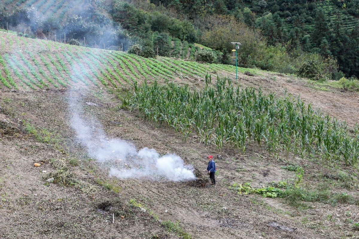 浙皖天路3------坡山村1