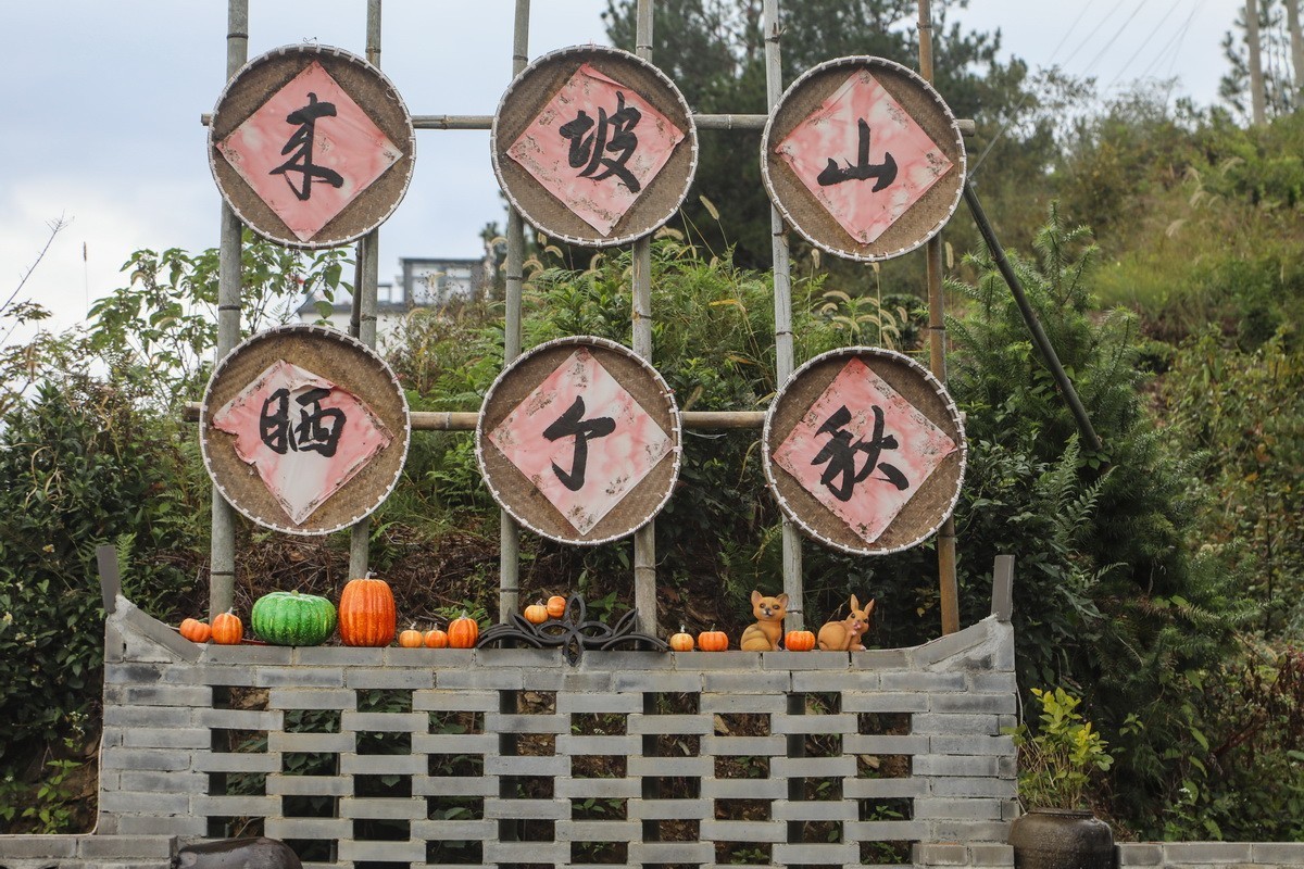 浙皖天路3------坡山村1
