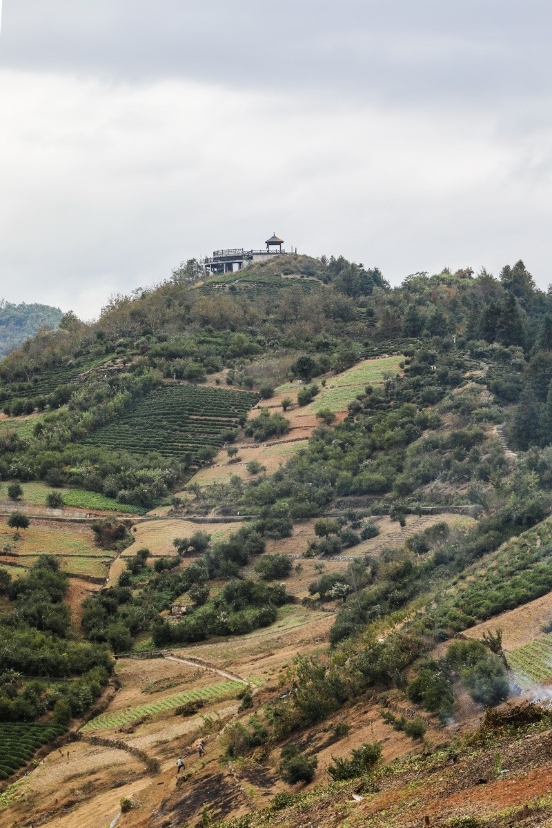 浙皖天路3------坡山村1