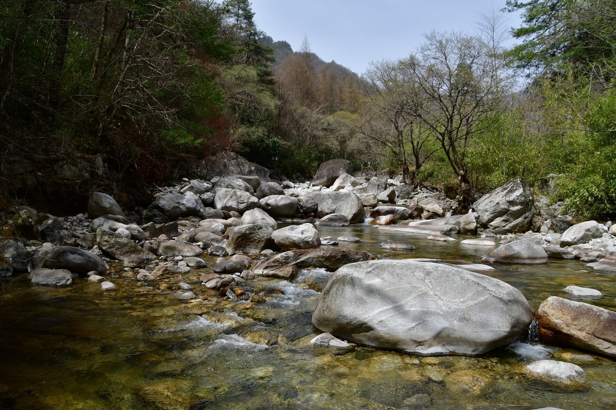 秦岭龙吟溪（上）